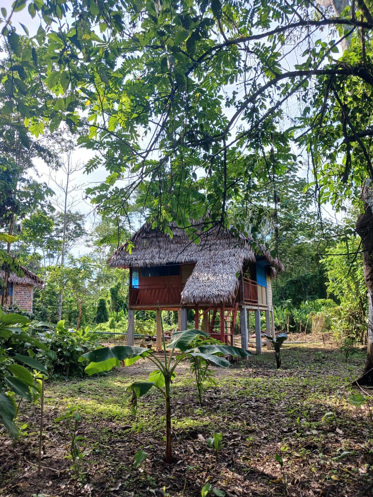 Slide Image